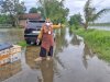Camat Gantiwarno Tinjau Banjir yang Rendam 24 Hektare Area Persawahan