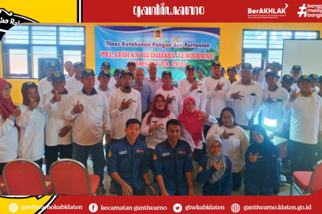 Pelatihan Budidaya Tembakau