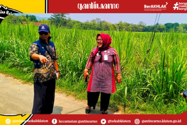 Monitoring Tertib Administrasi dan Pembangunan Fisik