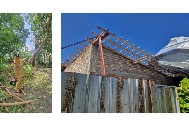 Camat Gantiwarno dan Relawan Kencana Sigap Bersihkan Puing Pascahujan dan Angin Kencang