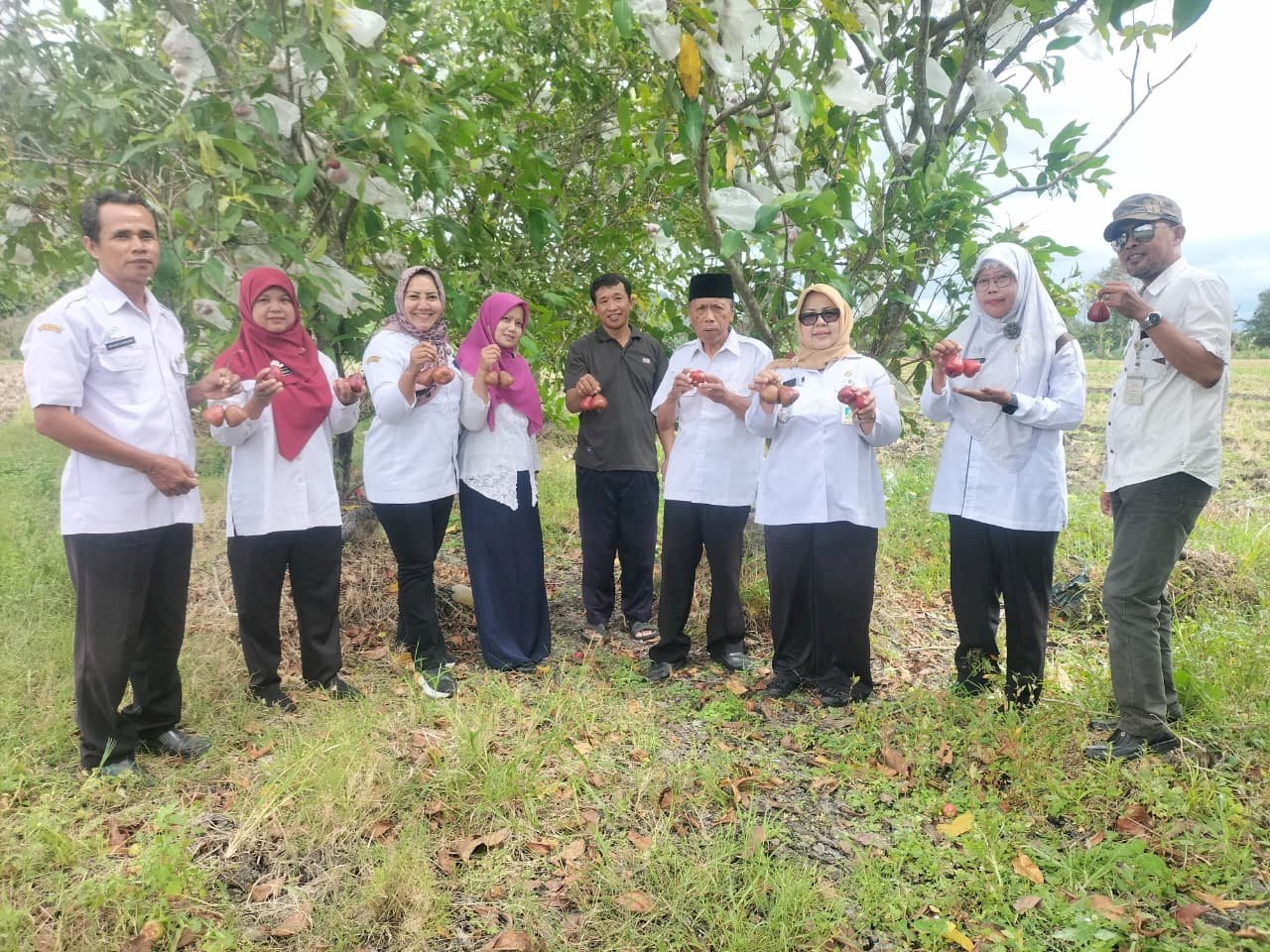 Cintaku Merah Jambu