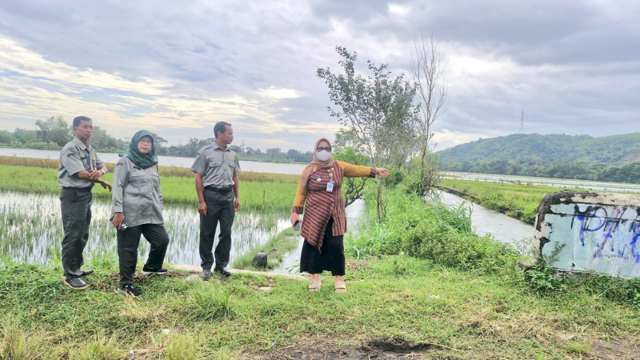 Camat Gantiwarno Tinjau Banjir yang Rendam 24 Hektare Area Persawahan