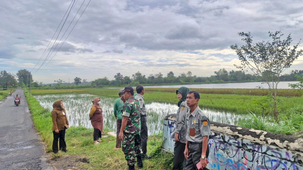Camat Gantiwarno Tinjau Banjir yang Rendam 24 Hektare Area Persawahan