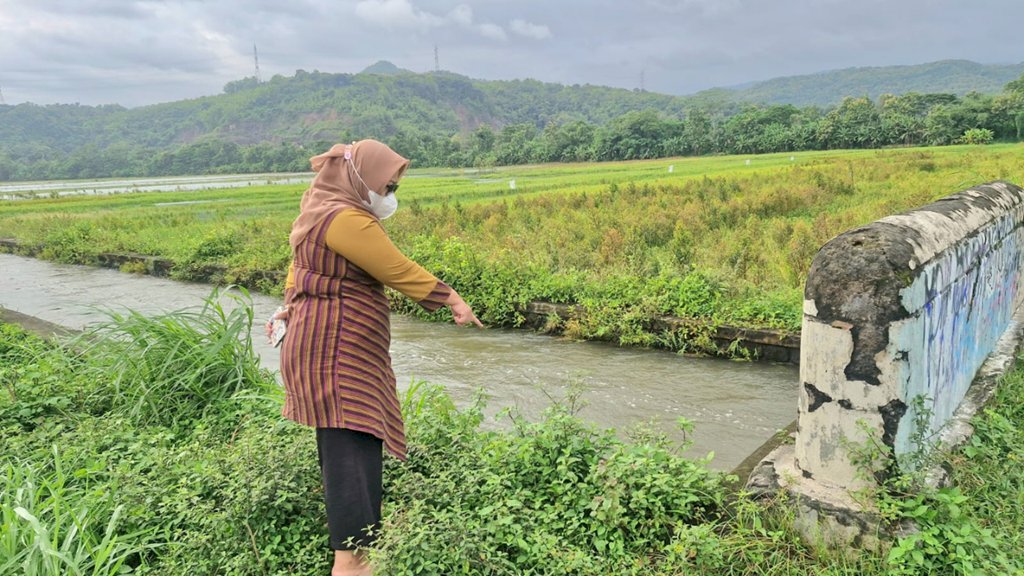 Camat Gantiwarno Tinjau Banjir yang Rendam 24 Hektare Area Persawahan